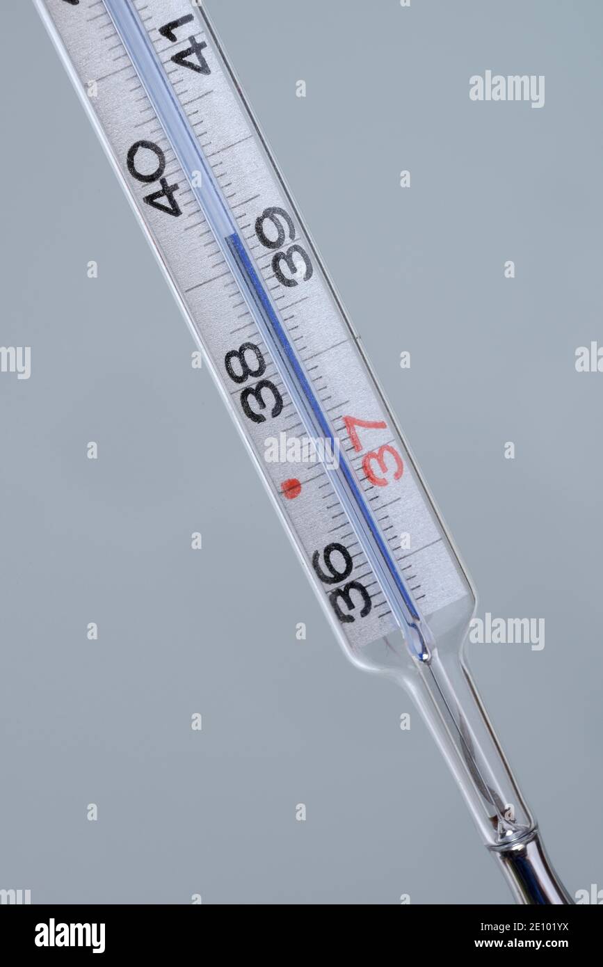 Termometro clinico, termometro a mercurio, Germania, Europa Foto Stock