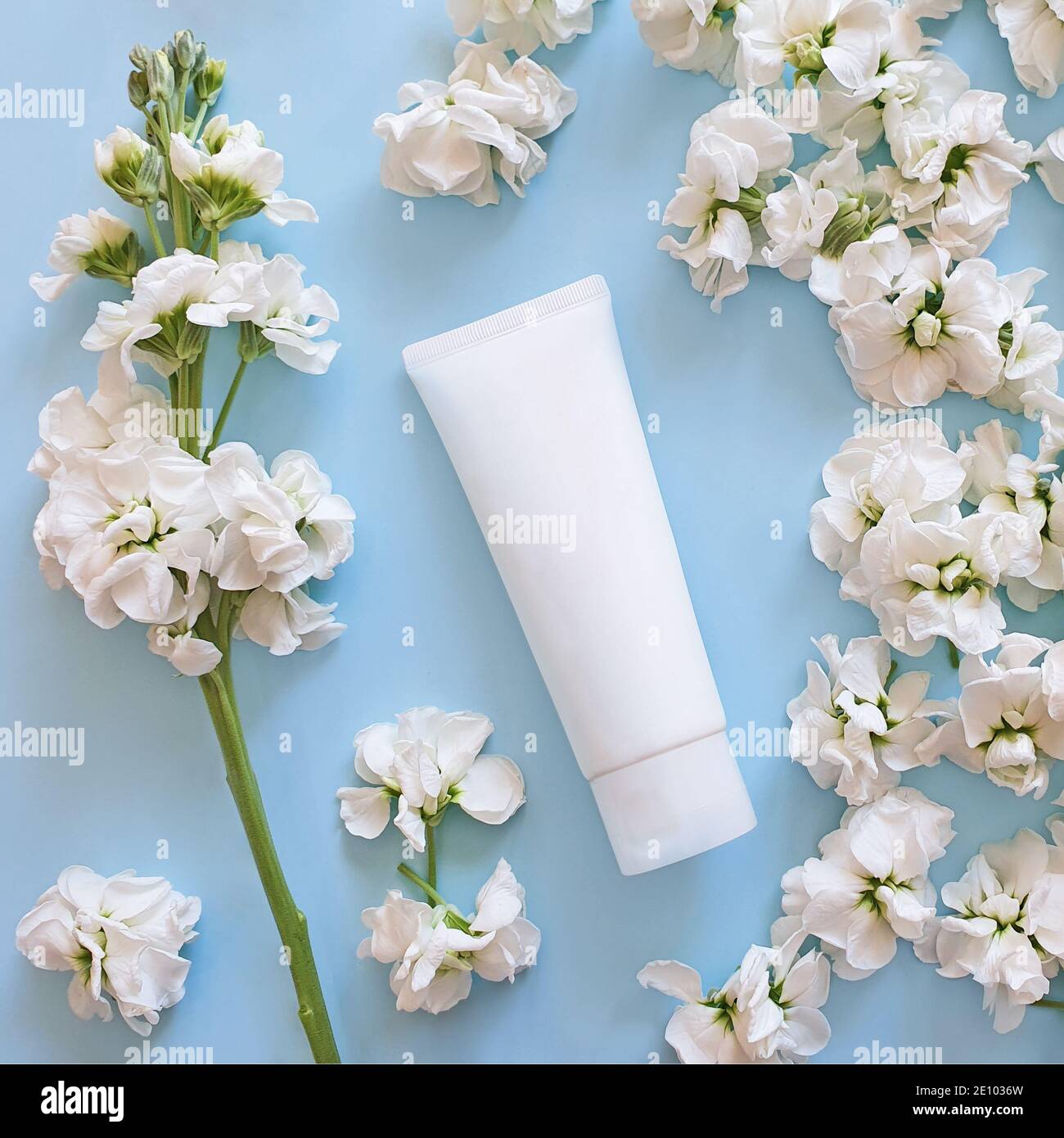 beauty spa per la cura della pelle medica e lozione cosmetica bottiglia crema di confezionamento prodotto su uno sfondo blu chiaro con fiori bianchi. Vista dall'alto. Floreale Foto Stock