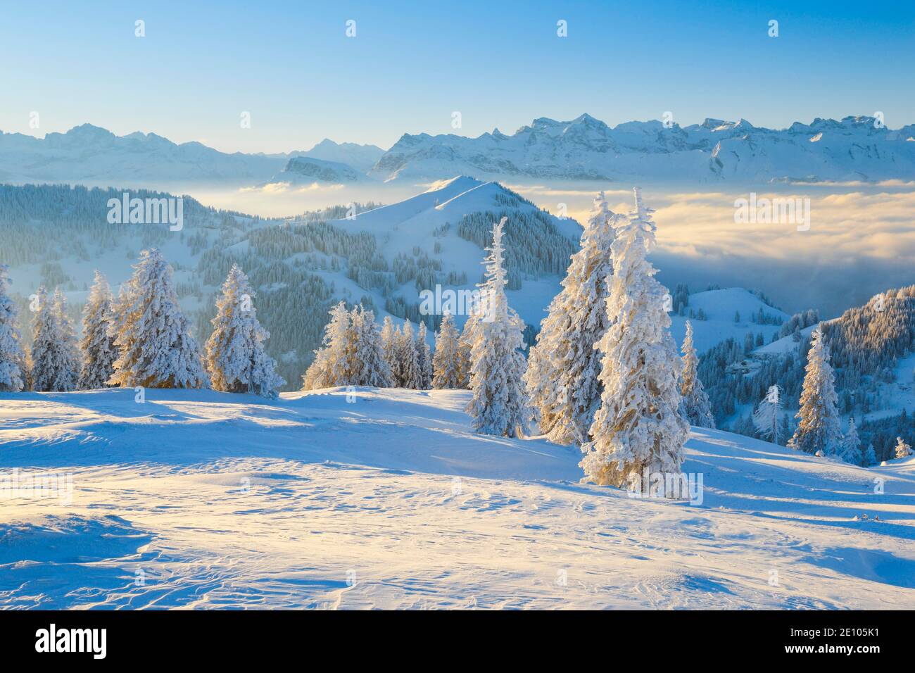 Vista da Rigi, Svizzera, Europa Foto Stock