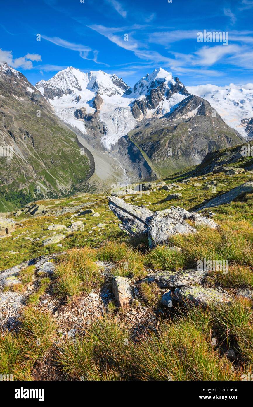 Pista ciclabile a Fuorcla Surlej, vista di Piz Bernina-4049 m, Biancogat, Piz Roseg-3937 m, Grigioni, Svizzera, Europa Foto Stock