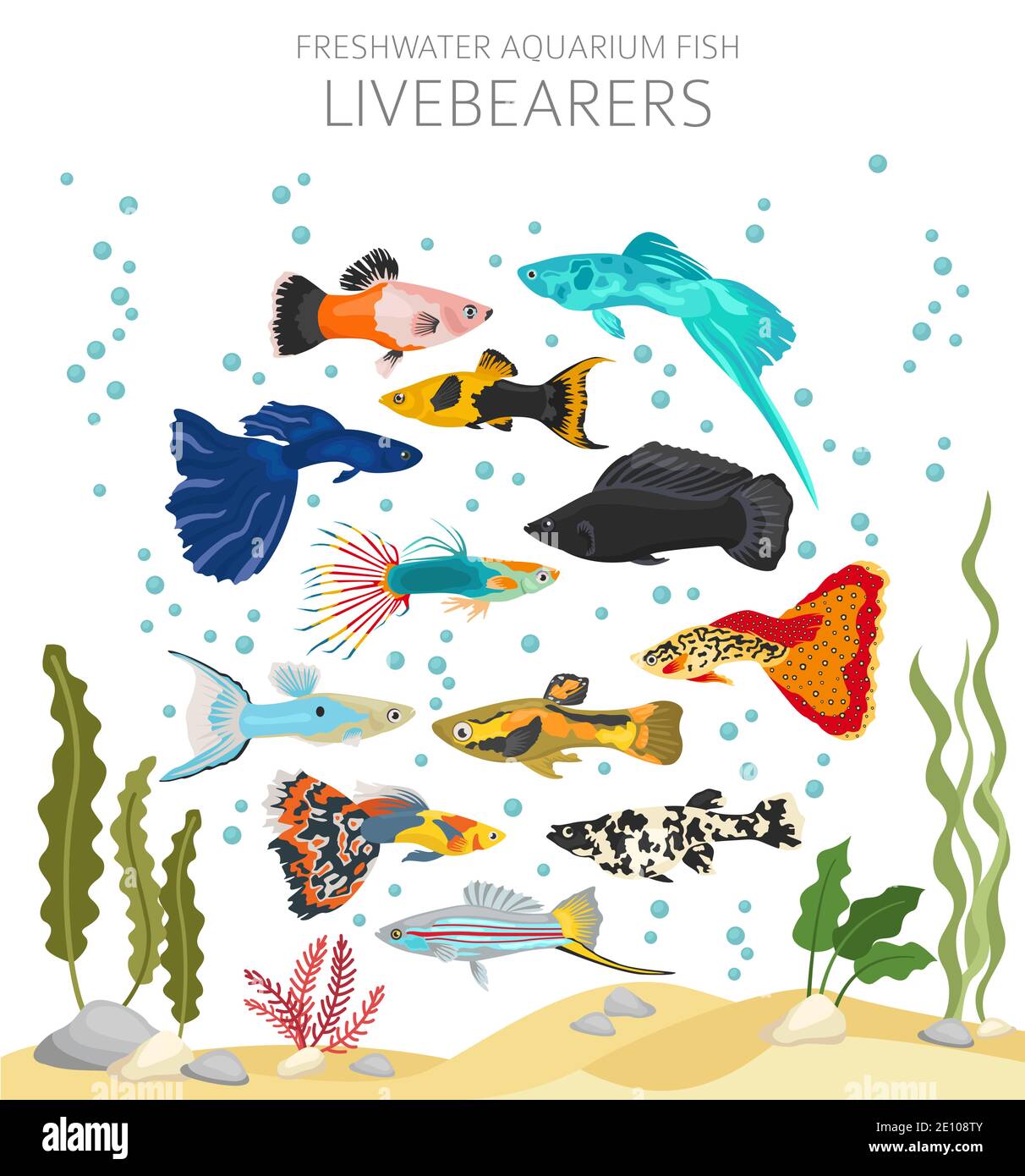 I portatori di vivai pescano. Acquario d'acqua dolce icona di pesce Set stile piatto isolato su bianco. Illustrazione vettoriale Illustrazione Vettoriale