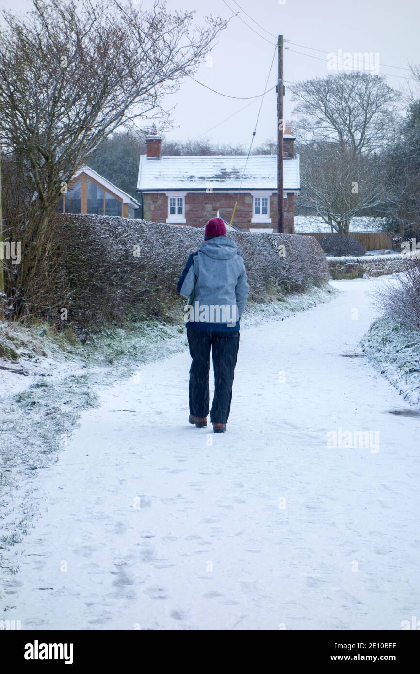 Donna che cammina nella neve in inverno sulla pietra arenaria Sentiero lungo percorso pedonale nella campagna del Cheshire a Burwardsley Foto Stock