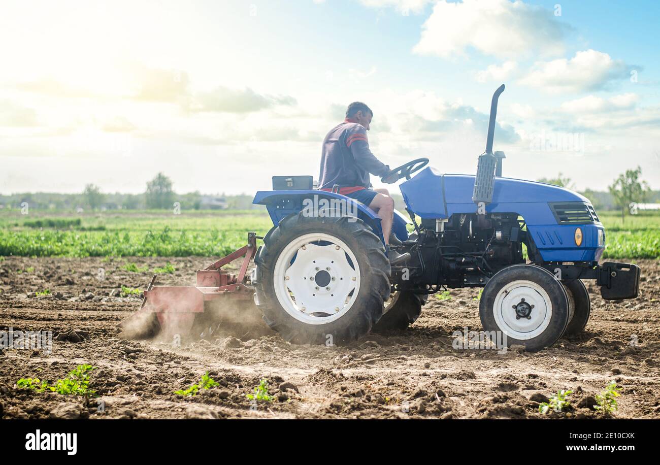 Un agricoltore su un trattore lavora sul campo e solleva la polvere. Campo di aratura. Uso di macchinari agricoli e per semplificare e velocizzare il lavoro. Allentamento su Foto Stock