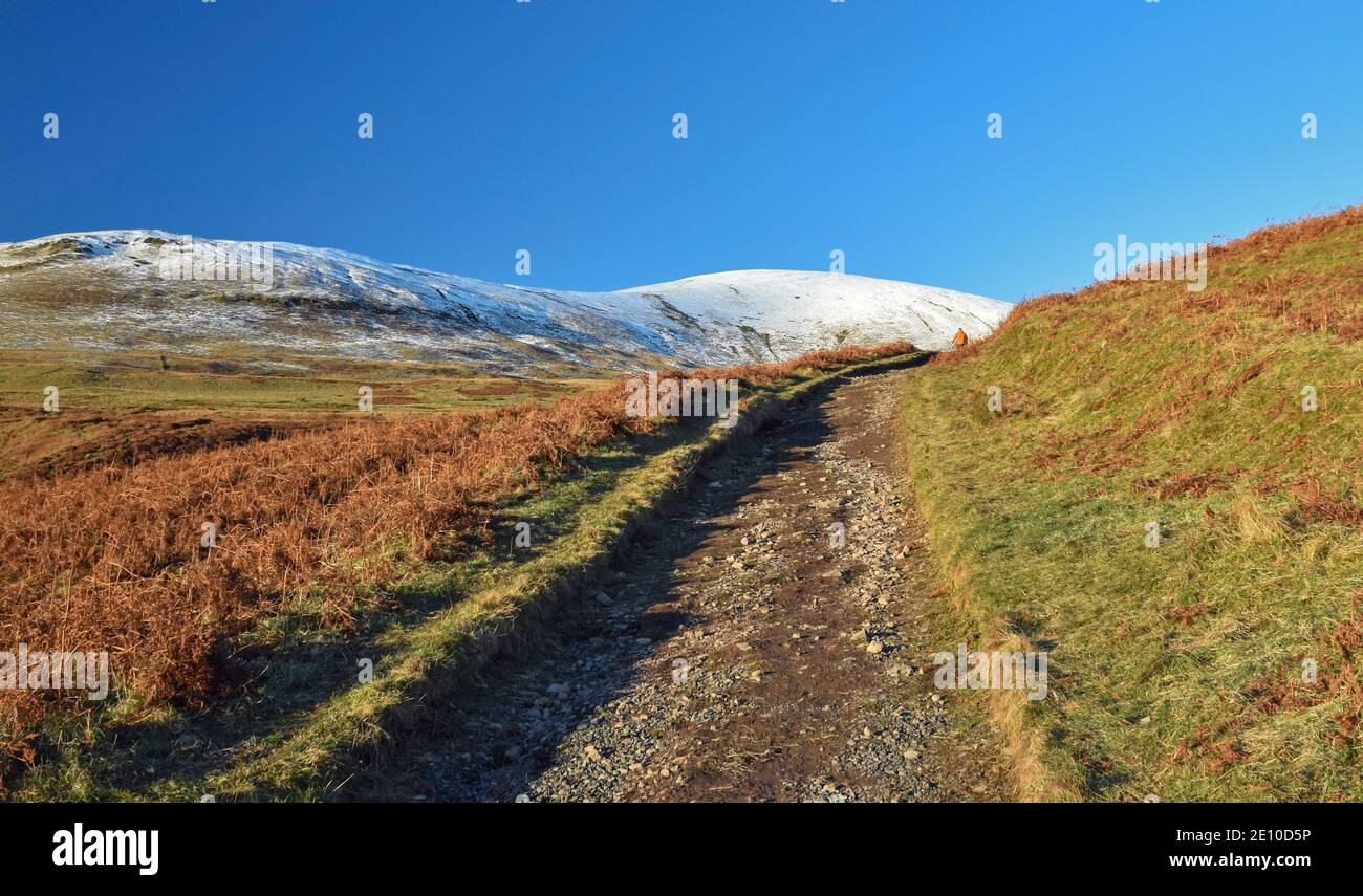 Percorso da Dollaro a Glen Devon con sentiero che conduce alla cima della collina e innevate Ochil Hills in background. Persona non identificabile a distanza. Foto Stock