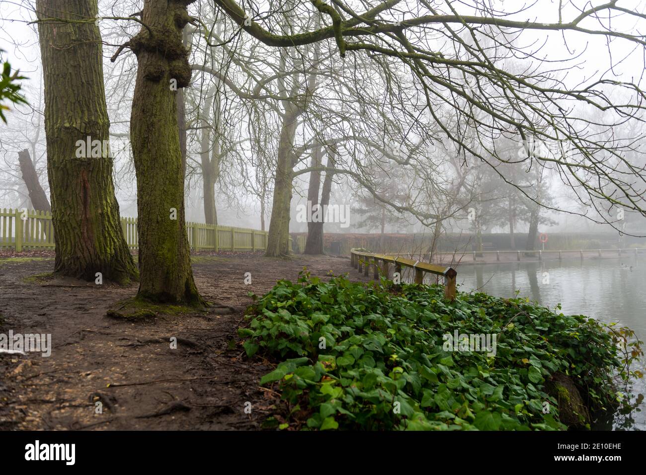 Un parco stagno su una mattina invernale nebbia. Foto Stock