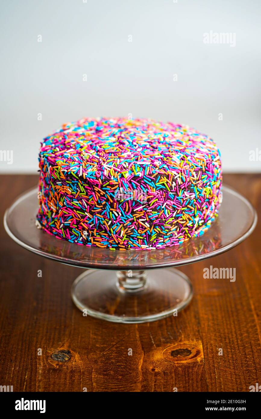 Torta al cioccolato con coloratissimi spruzzi Foto Stock