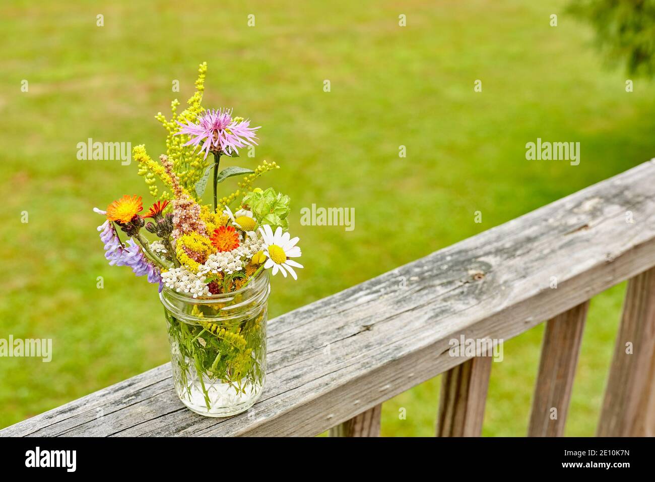 Disposizione di Wildflower su una ringhiera di legno nuda con il verde nello sfondo, Vista orizzontale 2 Foto Stock