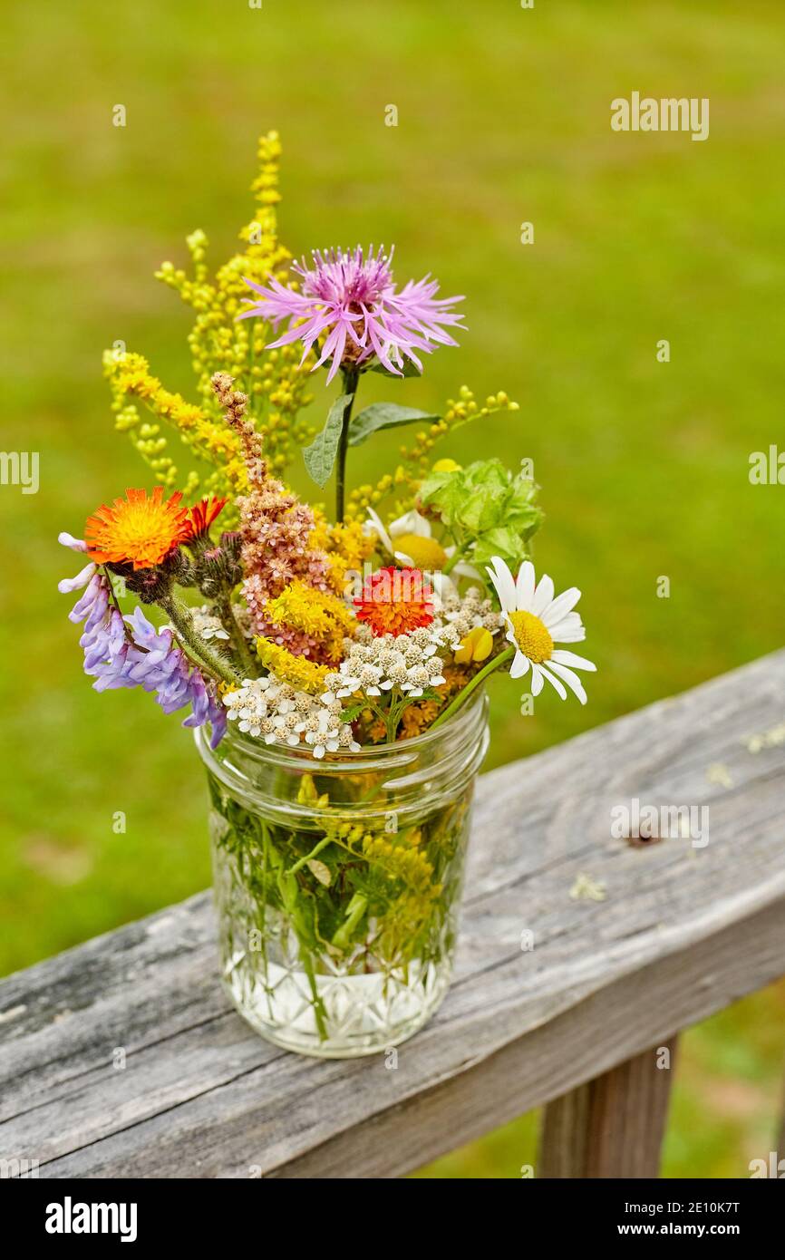 Disposizione di Wildflower su una ringhiera di legno nuda con il verde dentro Lo sfondo 4 Foto Stock