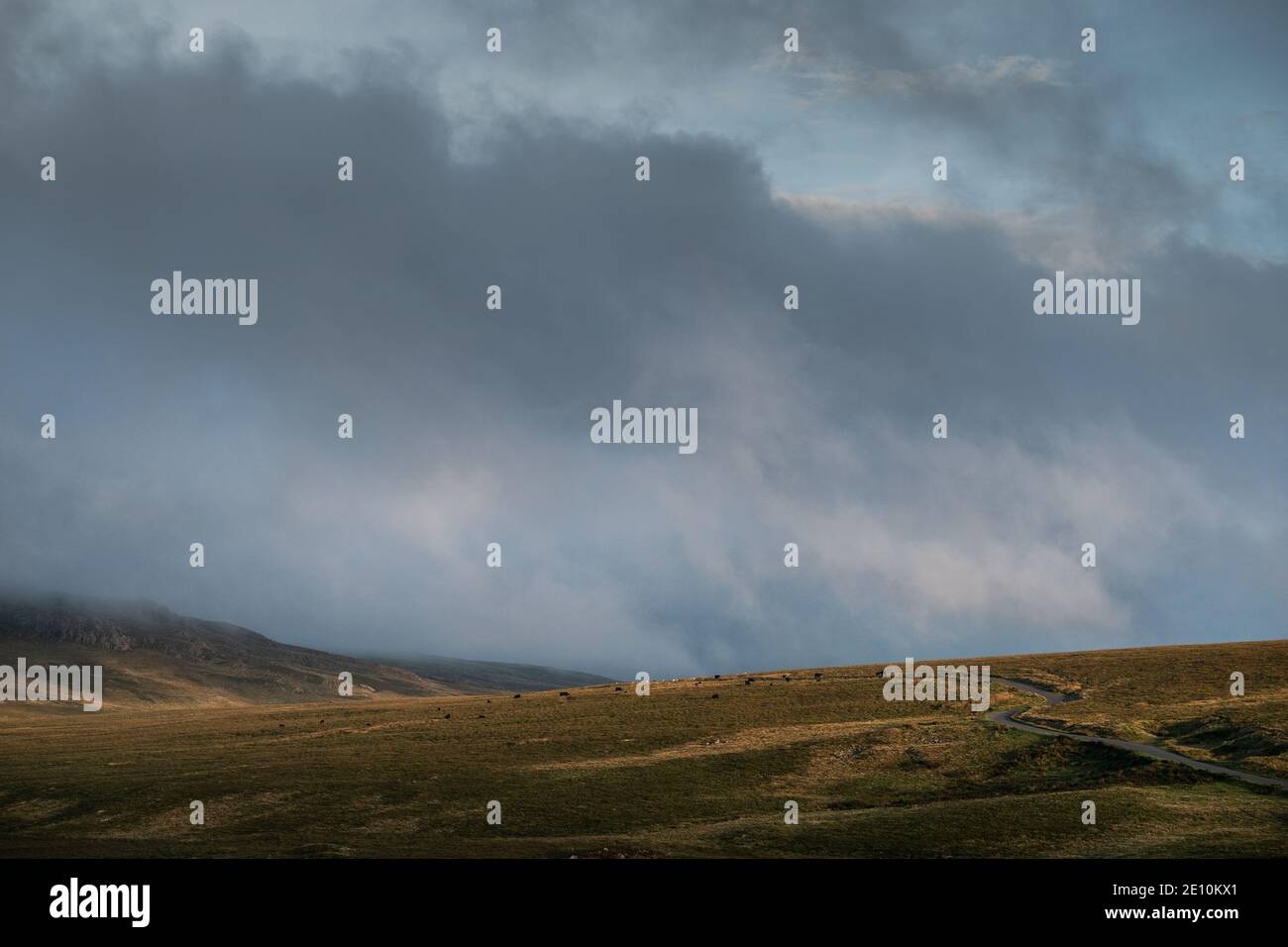 Eskdale Valley, Lake District, West Cumbria, Inghilterra, Regno Unito Foto Stock