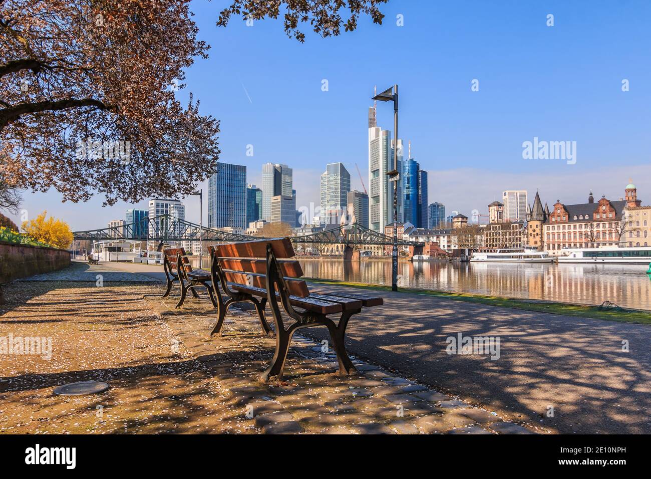 Skyline con grattacieli di Francoforte. Quartiere finanziario con edifici commerciali di giorno con il sole. Riva del fiume principale in primavera con albero e b Foto Stock