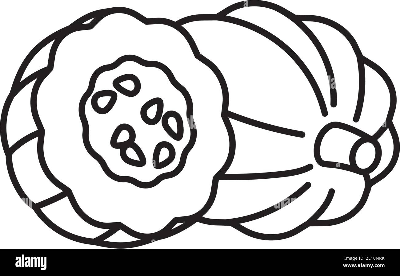 Icona della linea vettoriale della zucca di Acorn, frutta intera e mezza, per il giorno della zucca di Acorn il 7 settembre. Illustrazione Vettoriale