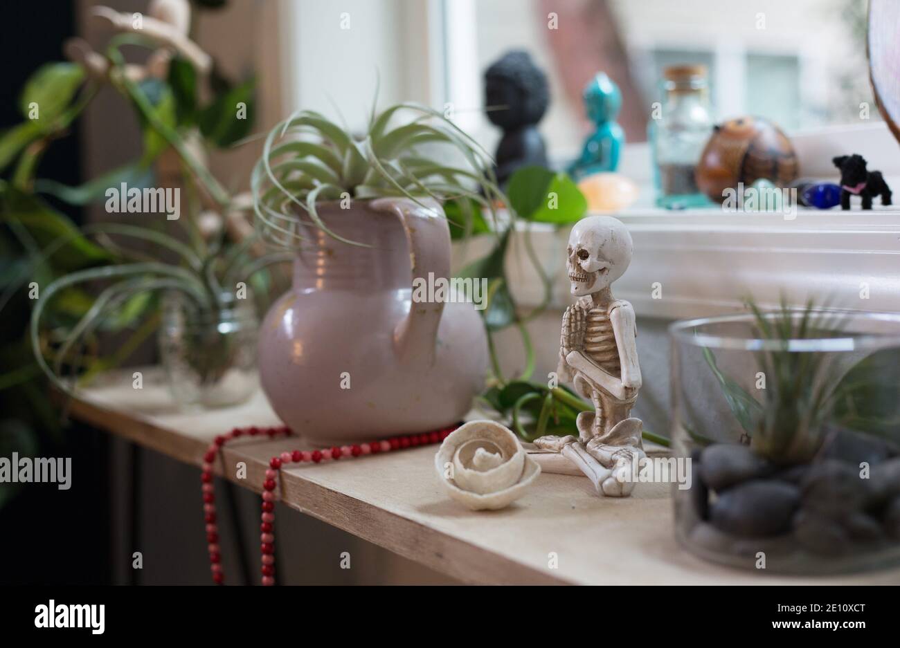 Una mensola di fronte ad una finestra, con piante e scheletro meditante,  nonché figurine di Buddha, in una sala di meditazione rilassante Foto stock  - Alamy