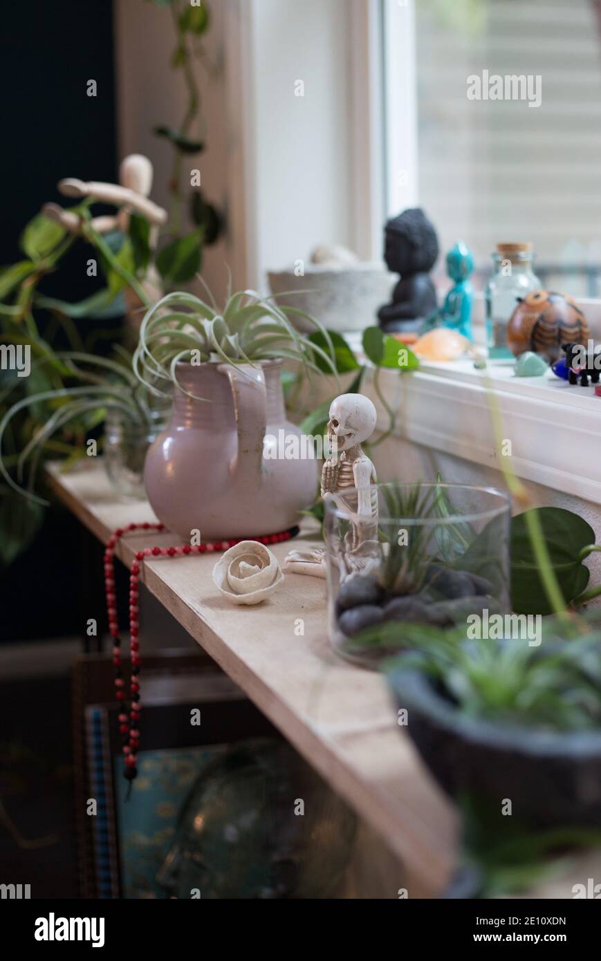 Una mensola di fronte ad una finestra, con piante e scheletro meditante,  nonché figurine di Buddha, in una sala di meditazione rilassante Foto stock  - Alamy