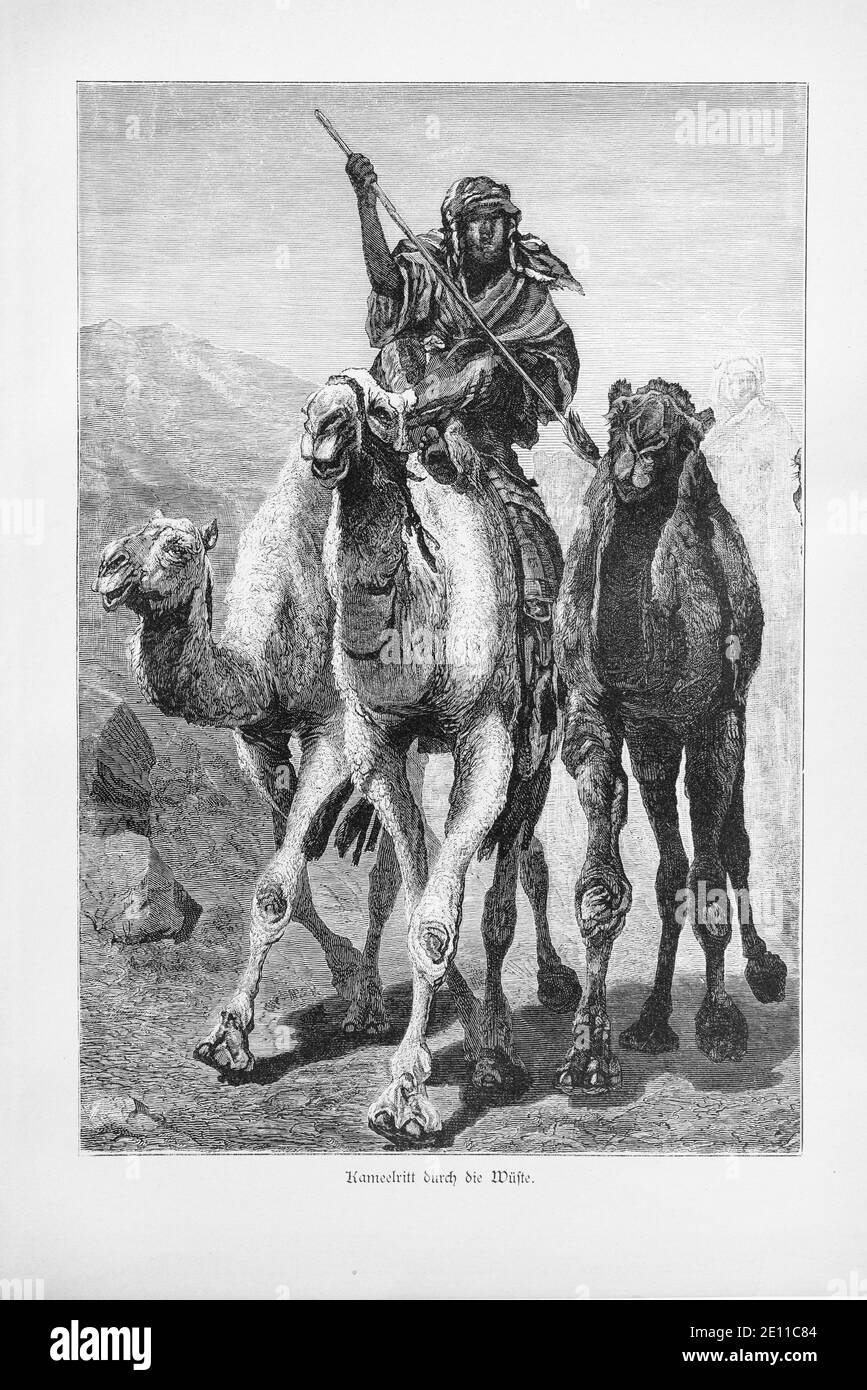 'Kamelritt durch die Wüste', un beduino che cavalca un cammello nel dersert egiziano, il Cairo, Egitto, illustrazione da 'Die Hauptstädte der Welt.' circa 1987 Foto Stock