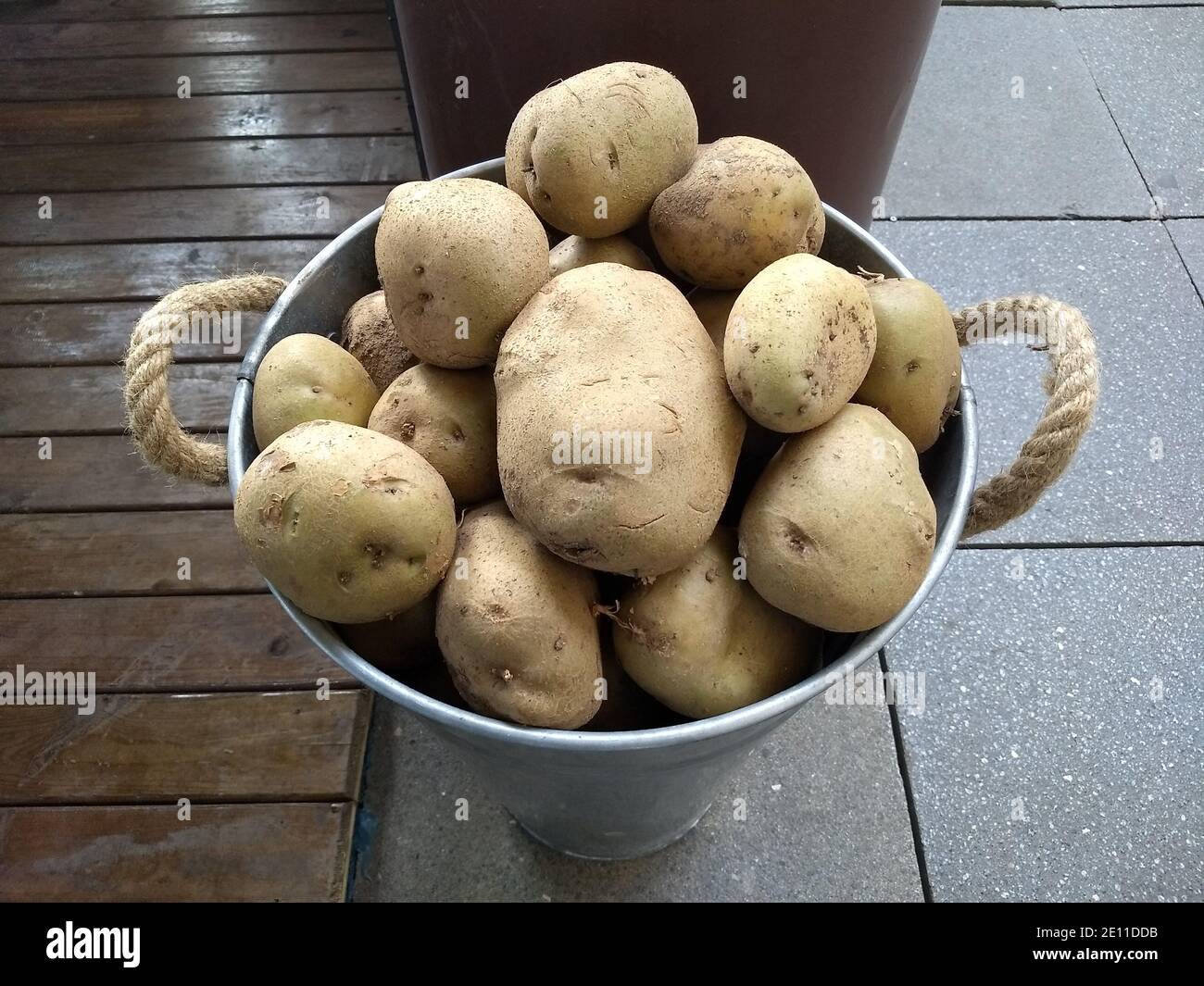 Un sacco di patate biologiche crude in metallo secchio, economia alimentare e prezzi vegetali sul mercato, patate alimentari di base Foto Stock