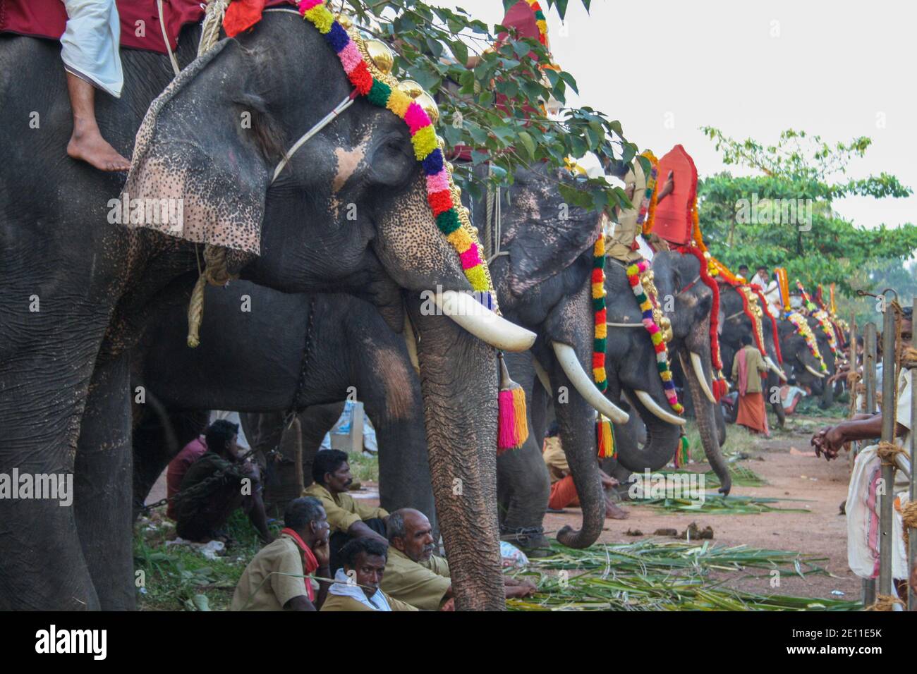 Sfilata degli elefanti a Varkala, India Foto Stock
