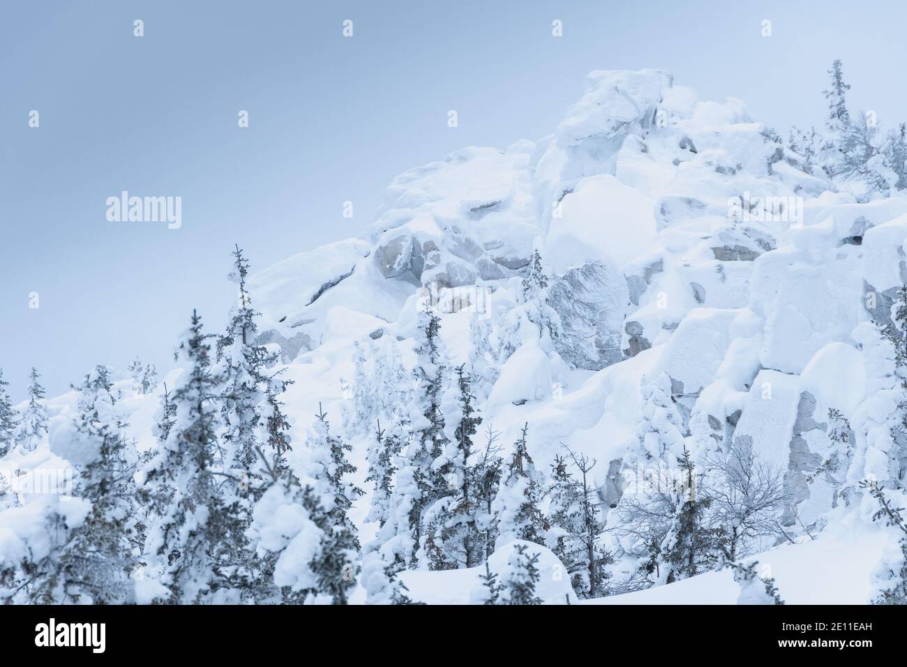 Foresta ghiacciata sulla catena montuosa di pietra innevata Foto Stock