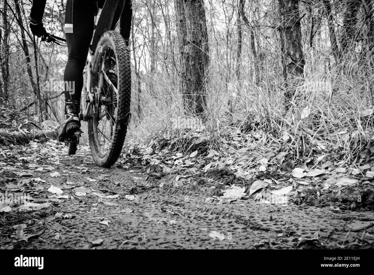 Piste di fango su una pista di mountain bike in nero e. bianco Foto Stock