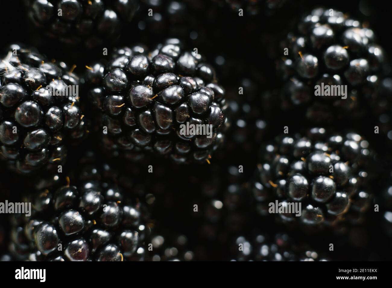 Sfondo di bacche nere biologiche fresche Foto Stock