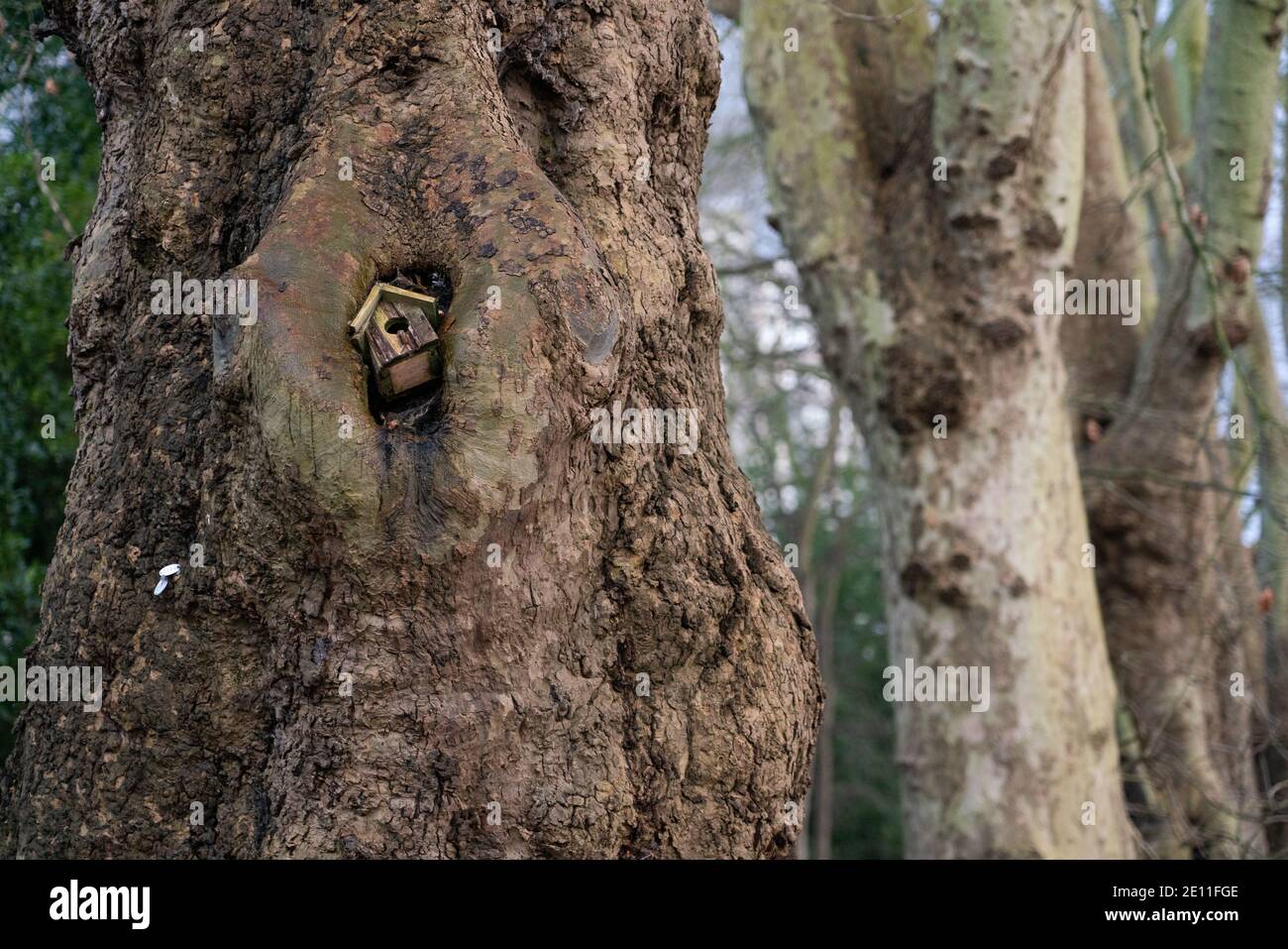 Hampstead Heath Foto Stock