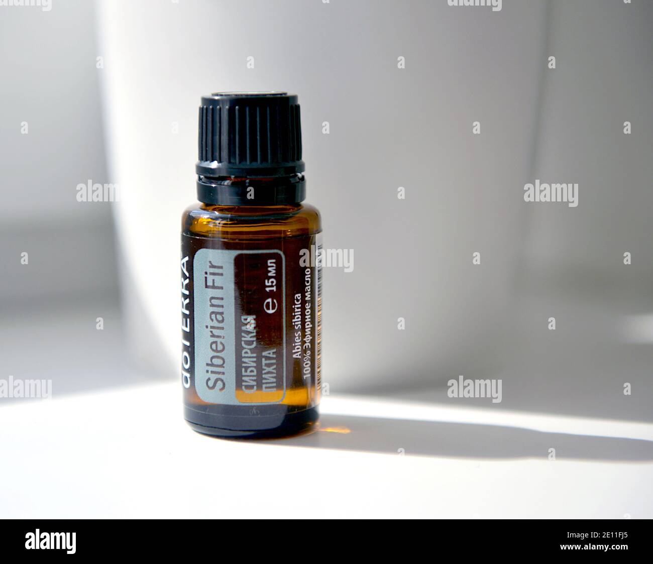 Aby sibirica Foto Stock