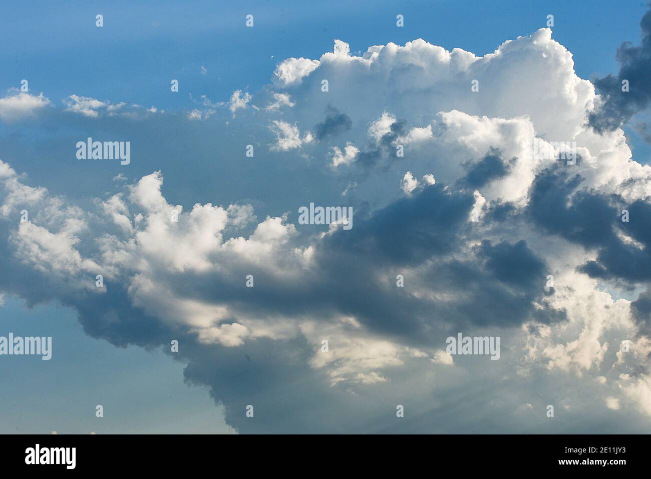 cielo blu con nubi di cumulo sparse, nubi come la nube di neve disegno Foto Stock
