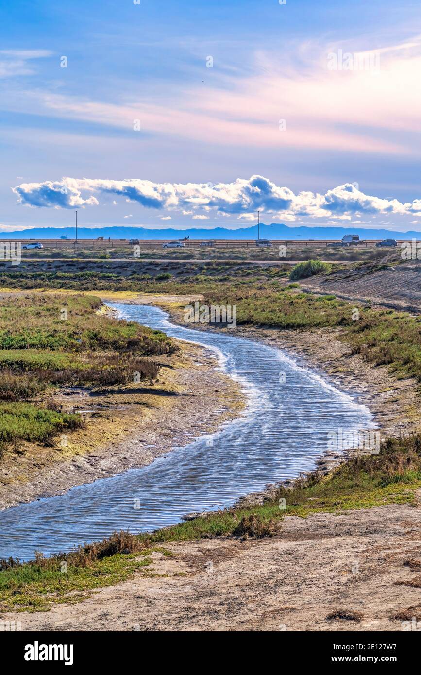 Zone umide e terreni erbosi nella Riserva Naturale di Bolsa Chica in Huntington Beach, California Foto Stock