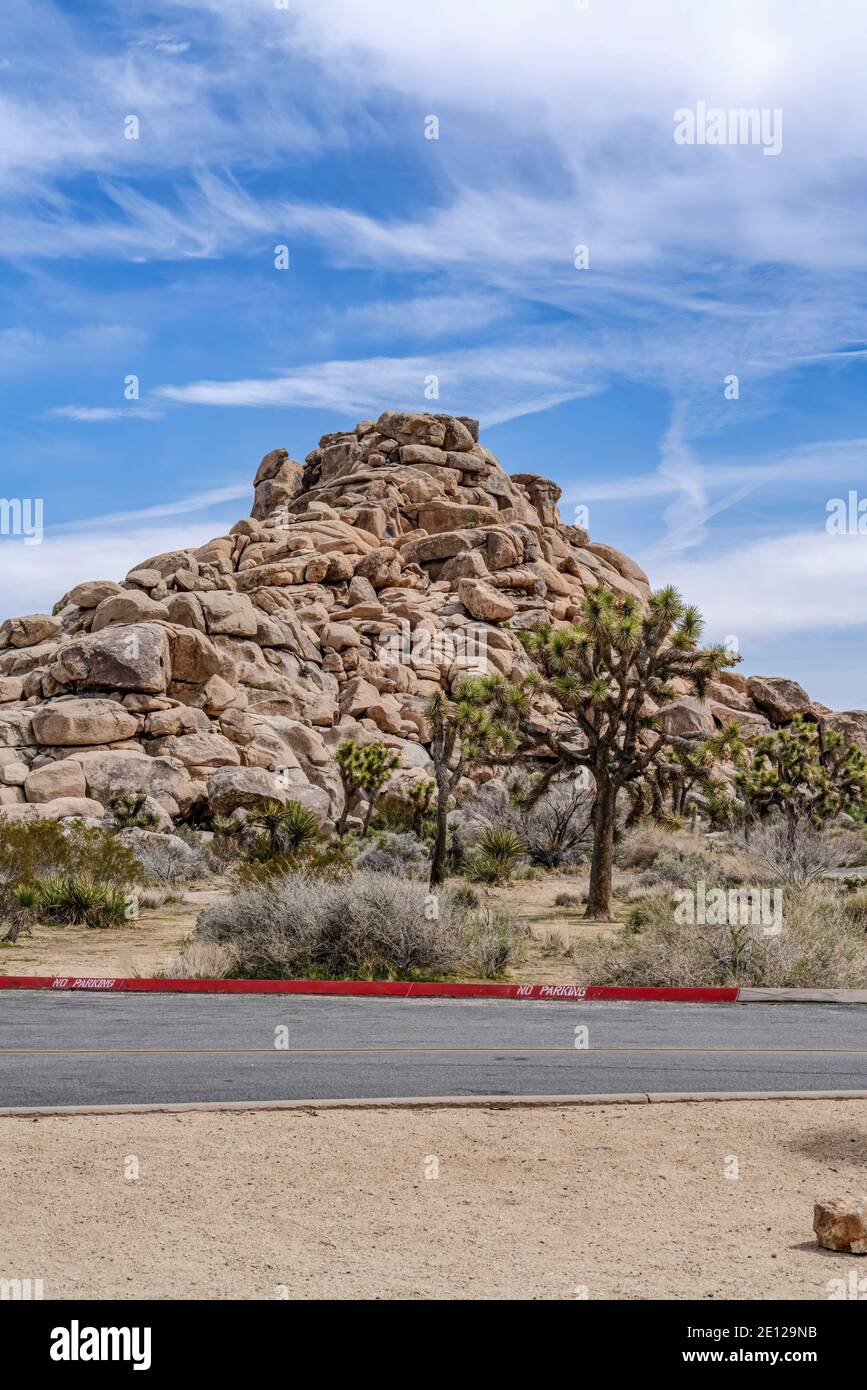 Giosuè alberi e la montagna stupefacente di rocce in Joshua Tree Deserto della California Foto Stock