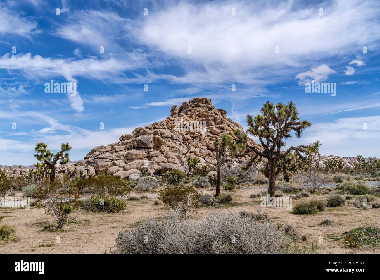 Joshua Tree California vista deserto con Joshua alberi e incredibile montagna di roccia Foto Stock