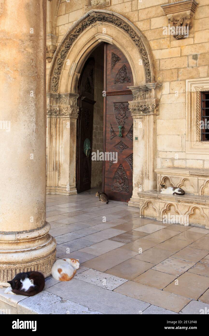 Gatti che dormono fuori dalla porta d'ingresso principale del Palazzo del Rettore a Dubrovnik, Croazia Foto Stock