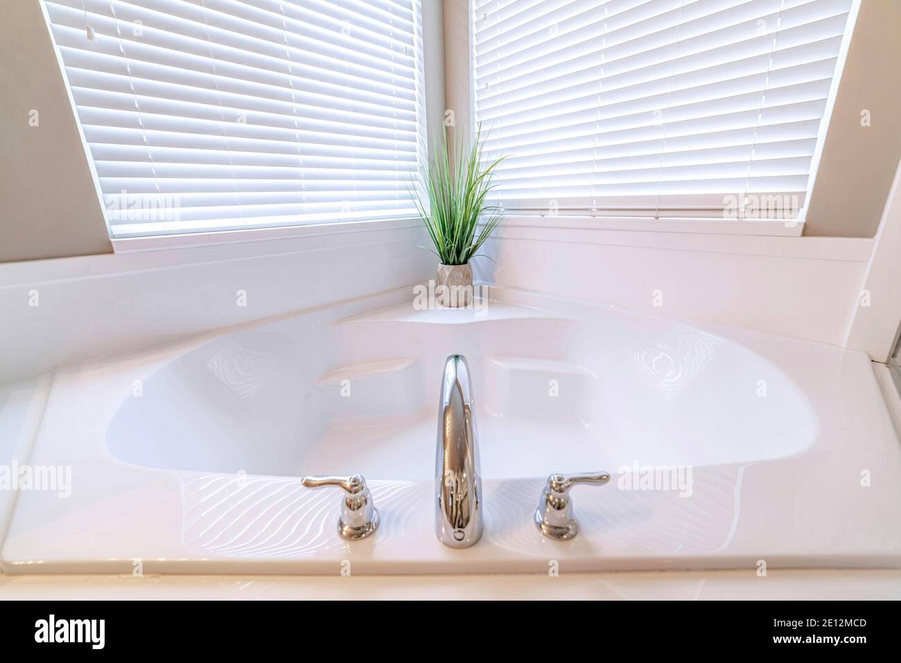 Primo piano della vasca da bagno incorporata con rubinetto in acciaio inox e pianta interna piccola Foto Stock