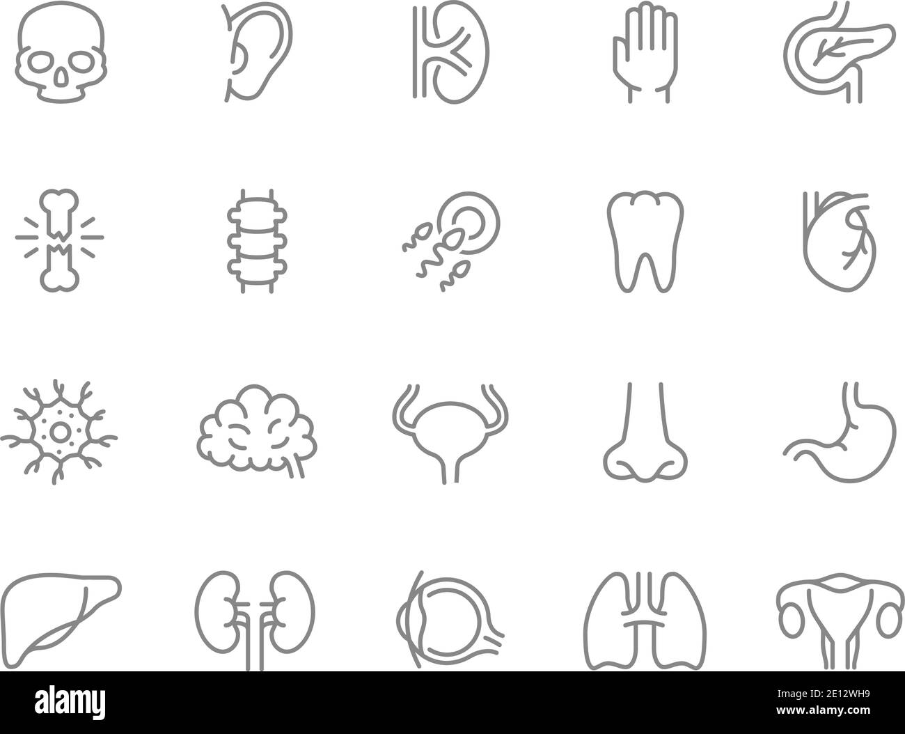 Set di icone linea organi umani. Dente, sperma d'uovo, cervello, vescica, naso, stomaco, fegato e molto altro. Illustrazione Vettoriale