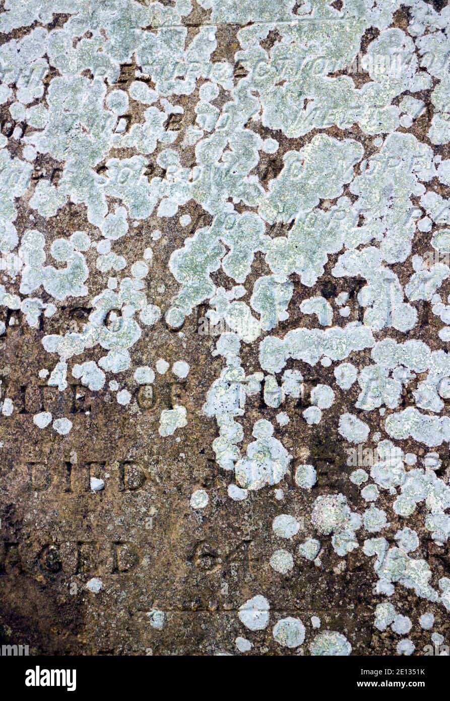 Vecchio dettaglio lapide con licheni, Warwickshire, UK Foto Stock