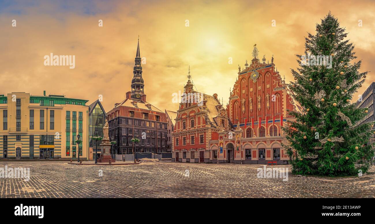 Piazza del Municipio con Casa delle teste nere e albero di Natale durante il tramonto in inverno, città vecchia di riga, Lettonia Foto Stock