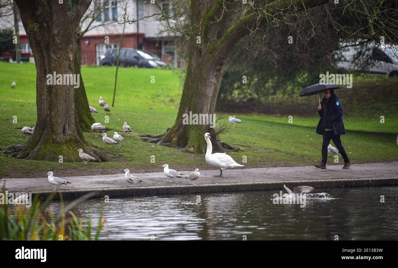 Brighton UK 4 Gennaio 2021 - tempo di ombrello intorno al Queens Park di Brighton in una giornata fredda e umida nel Sud Est : Credit Simon Dack / Alamy Live News - solo per uso editoriale Foto Stock
