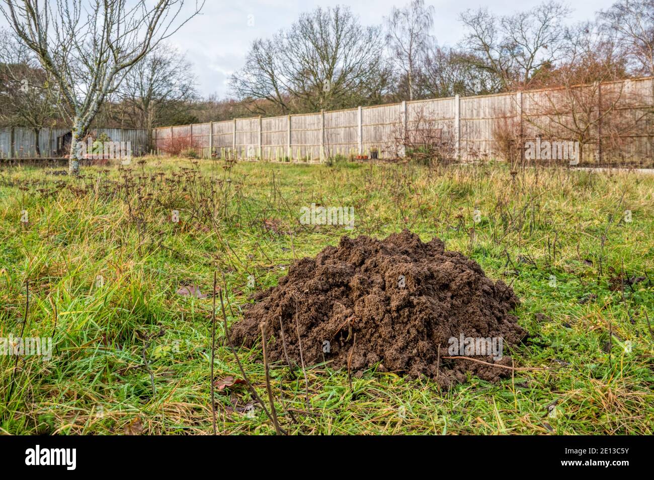 Grande collina in erba in un giardino durante l'inverno. Foto Stock