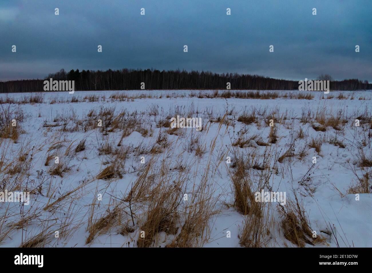 Il campo in inverno innevato in Russia 2021 Foto Stock