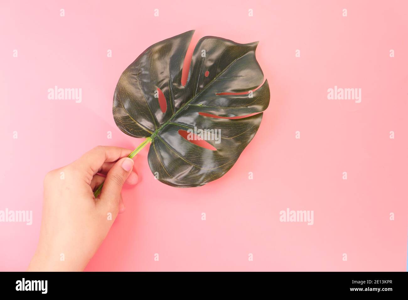 donne mano tenendo la foglia di palma su sfondo rosa Foto Stock