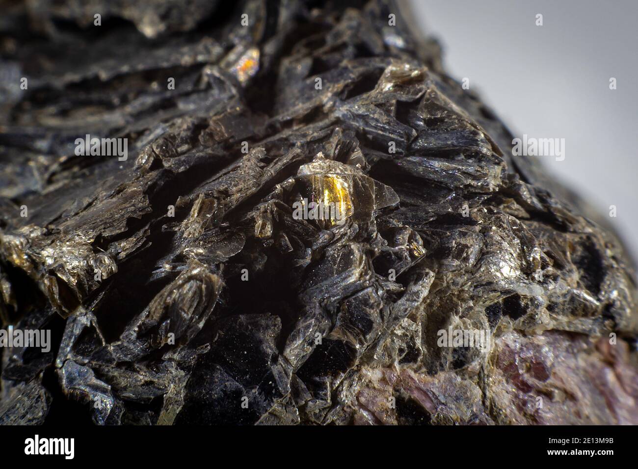 Primo piano su un minerale di biotite nero. Macrotecnica Foto Stock