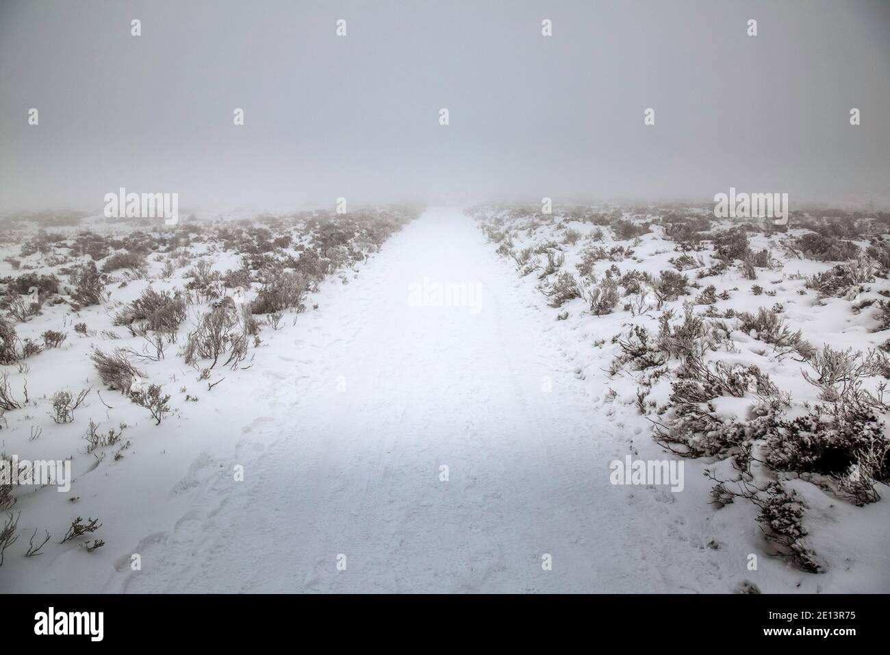 Fotografia che mostra un percorso coperto di neve e ghiaccio che si allontana dalla fotocamera con vegetazione scarsa su entrambi i lati. Foto Stock