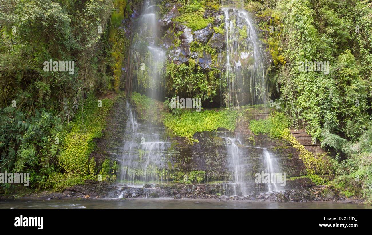 Cascata che scende da una rupe da una sorgente alta sul lato valle. Nella lussureggiante foresta pluviale vicino al vulcano Cotopaxi, Ecuador. Foto Stock