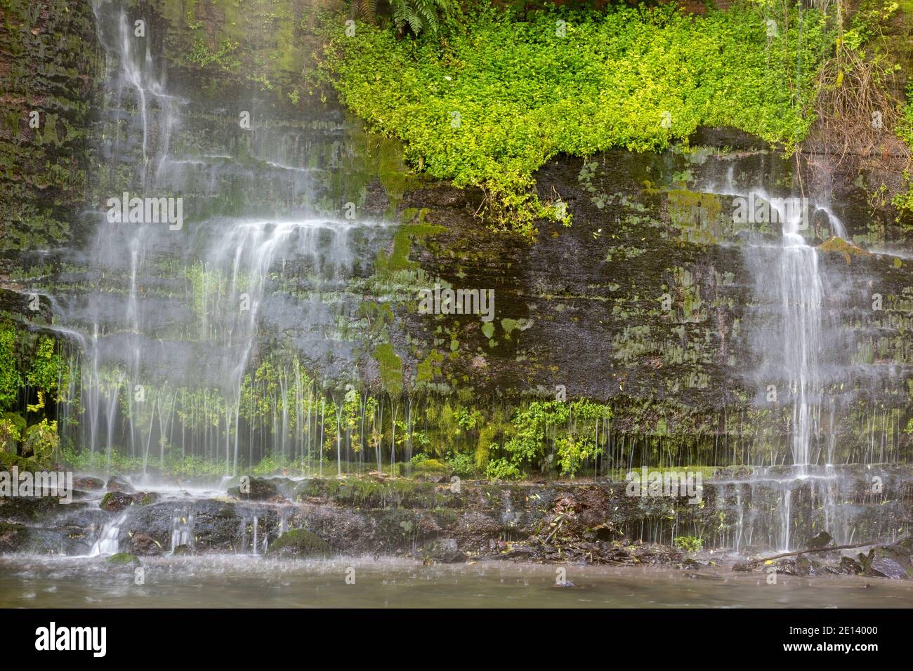 Cascata che scende da una rupe da una sorgente alta sul lato valle. Nella lussureggiante foresta pluviale vicino al vulcano Cotopaxi, Ecuador. Foto Stock