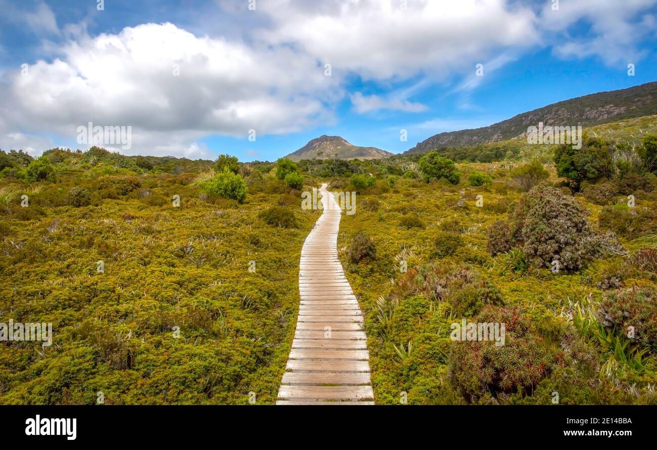 Camminando lungo il sentiero in Tasmania Foto Stock