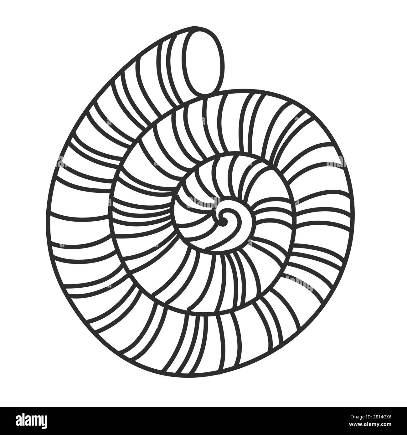 Grande conchiglia, forma rotonda con perle, guscio di molluschi calcarei, nero e bianco disegno a mano doodle vettore illustrazione Illustrazione Vettoriale