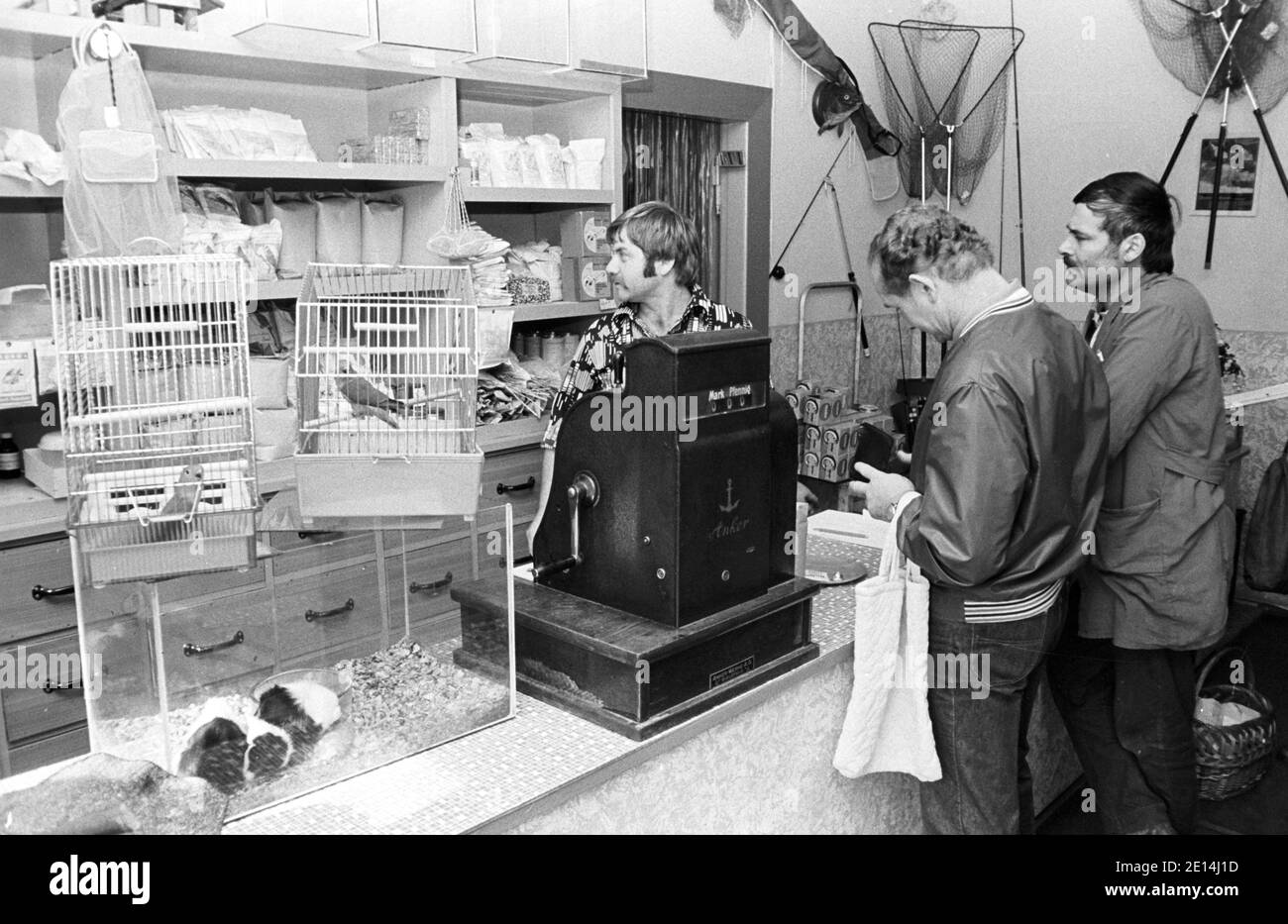 30 settembre 1981, Sassonia, Eilenburg: In un negozio di animali (negozio di animali) nel quartiere di Eilenburg, animali come criceti, cavie e budgy, nonché cibo per animali domestici sono in vendita nell'autunno 1981. Data esatta della registrazione non nota. Foto: Volkmar Heinz/dpa-Zentralbild/ZB Foto Stock