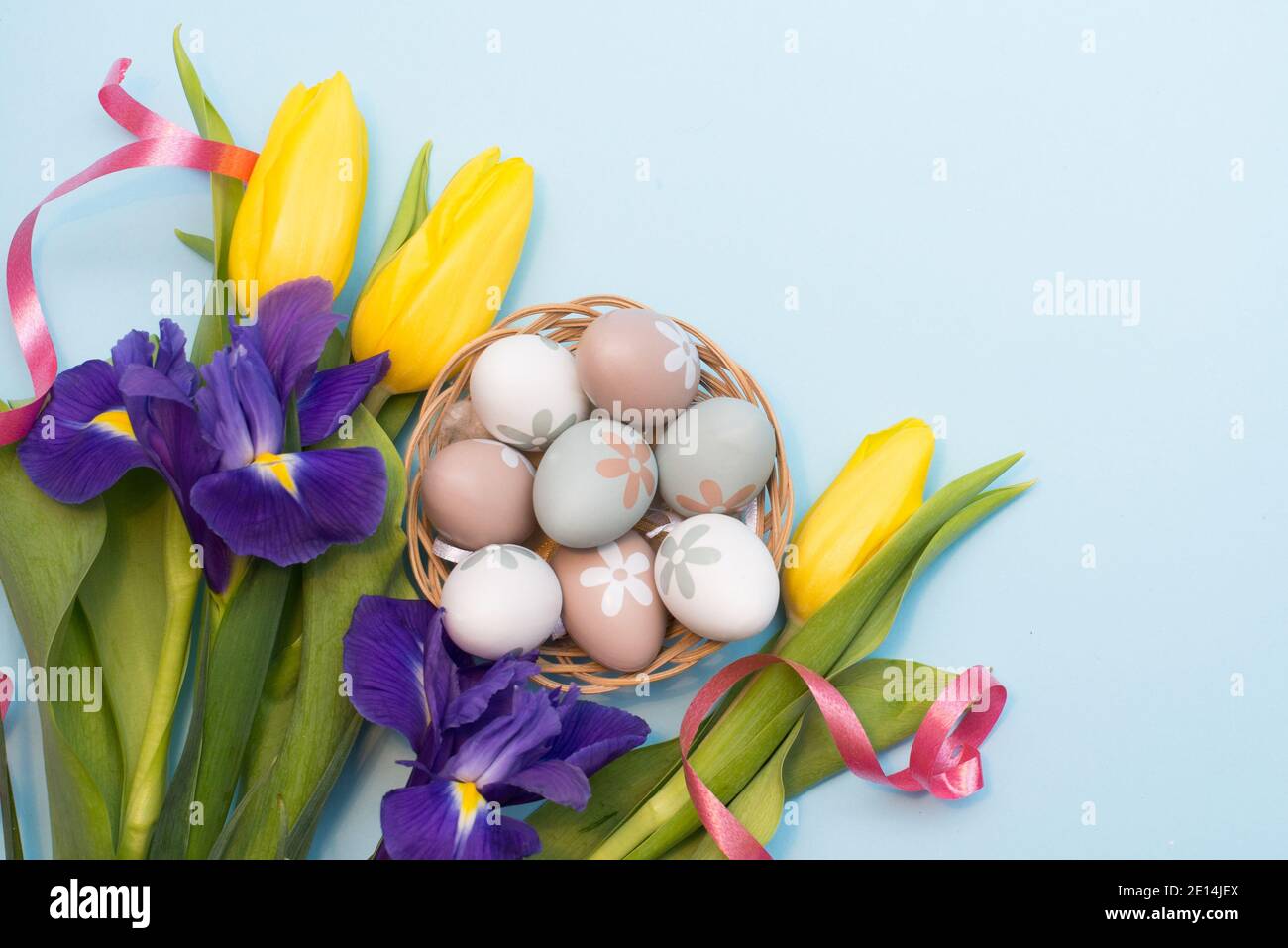 Uova colorate di Pasqua con tulipani gialli e narcisi violacei sfondo blu con spazio per la copia Foto Stock
