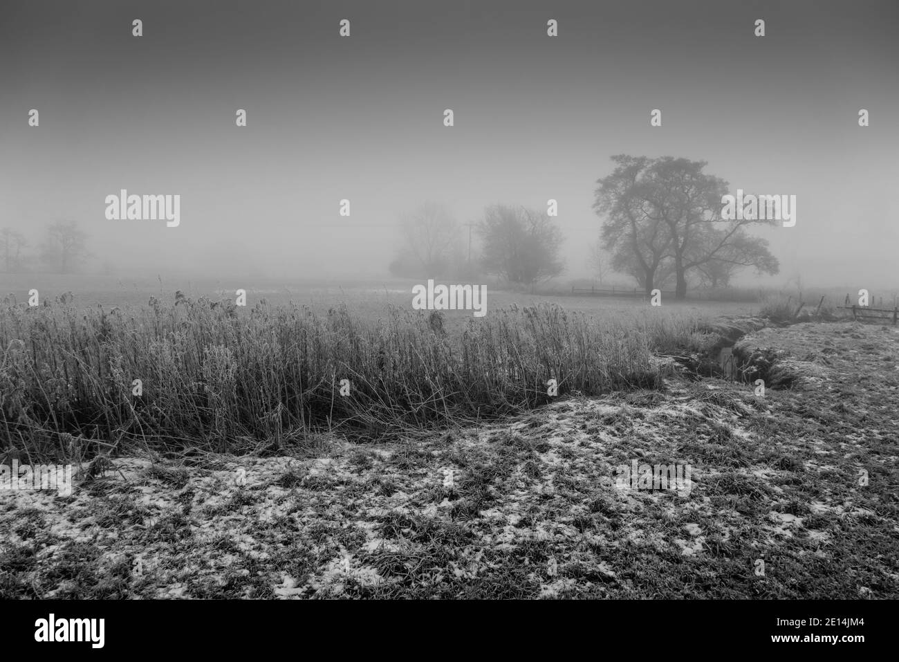 Paesaggio invernale vicino a Clitheroe, Ribble Valley, Lancashire, Regno Unito. Foto Stock