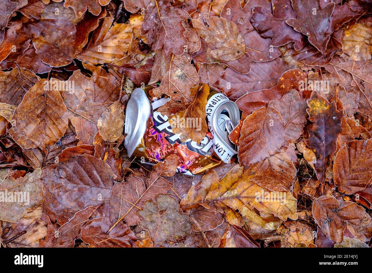 La bevanda scartata può giacere tra le foglie in un bosco Foto Stock
