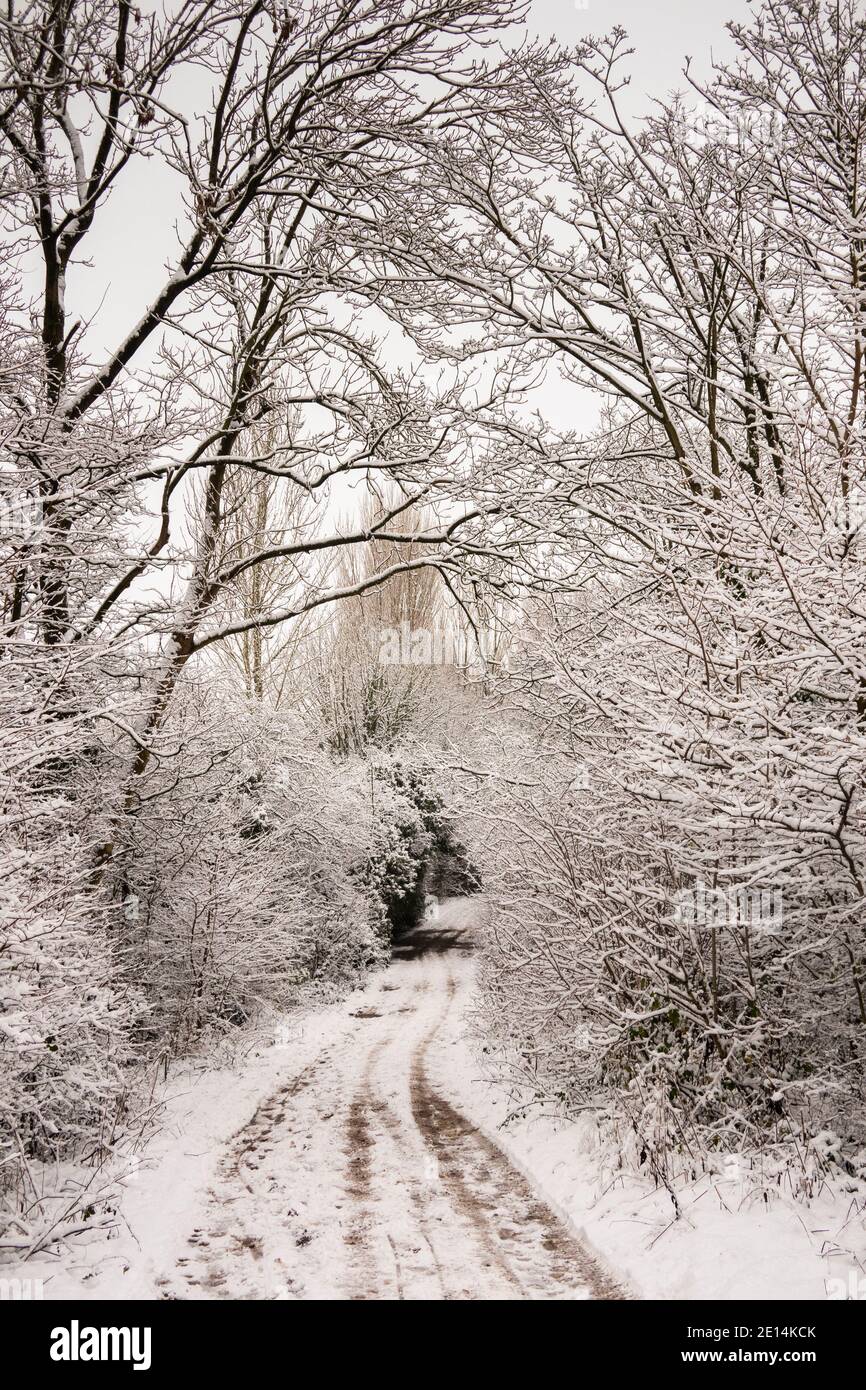 Regno Unito, Inghilterra, Cheshire, Congleton, Lambert’s Lane, antica via di ponte in inverno Foto Stock