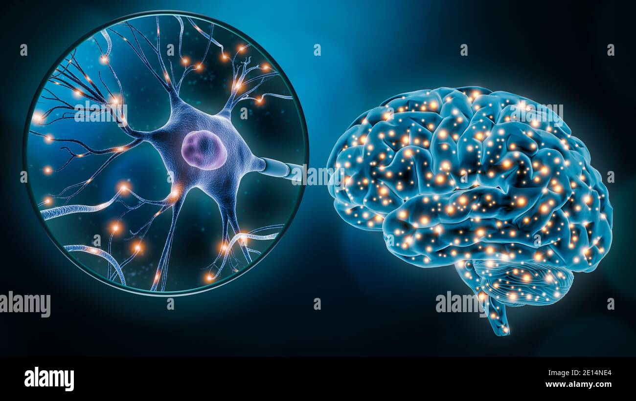 Stimolazione neuronale cerebrale umana o attività con il primo piano di una rappresentazione 3D di una cellula neuronica. Neuroscienze, neurologia, medicina, scienza, Foto Stock